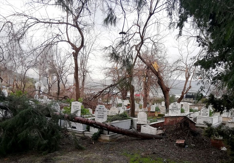 Antalya'da Hortum böyle iz bıraktı! galerisi resim 6
