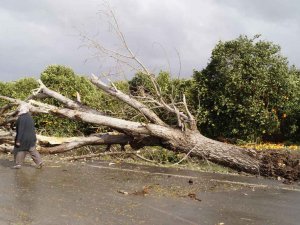 Antalya'da Hortum böyle iz bıraktı!