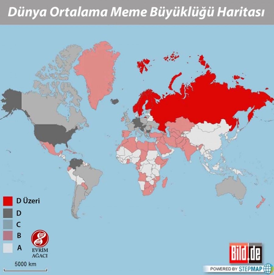 Dünya Ortalama Meme Büyüklüğü Haritası Çıkarıldı galerisi resim 9