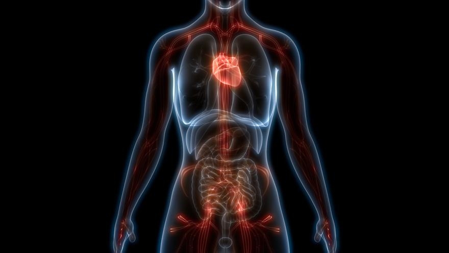 Onsuz yaşayabileceğiniz 10 organ galerisi resim 2