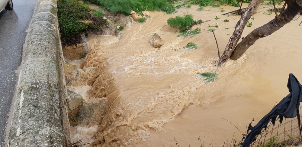 Dipkarpaz yağmura doydu galerisi resim 3