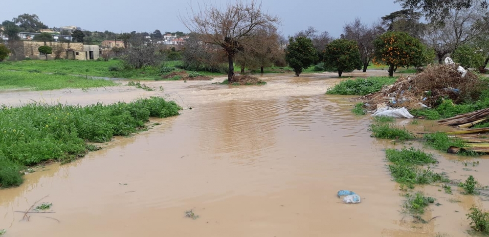 Dipkarpaz yağmura doydu galerisi resim 7