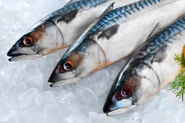 Balığı sakın bu şekilde tüketmeyin ölümle sonuçlanabilir galerisi resim 5