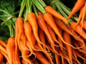 Griple savaşan besinler