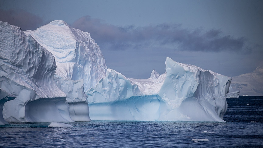 'Beyaz kıta'nın katı kuralları galerisi resim 1