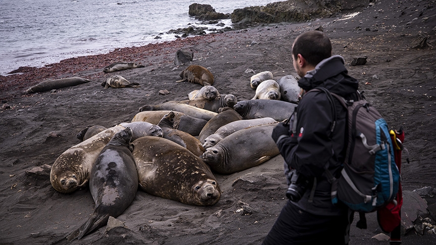 'Beyaz kıta'nın katı kuralları galerisi resim 3
