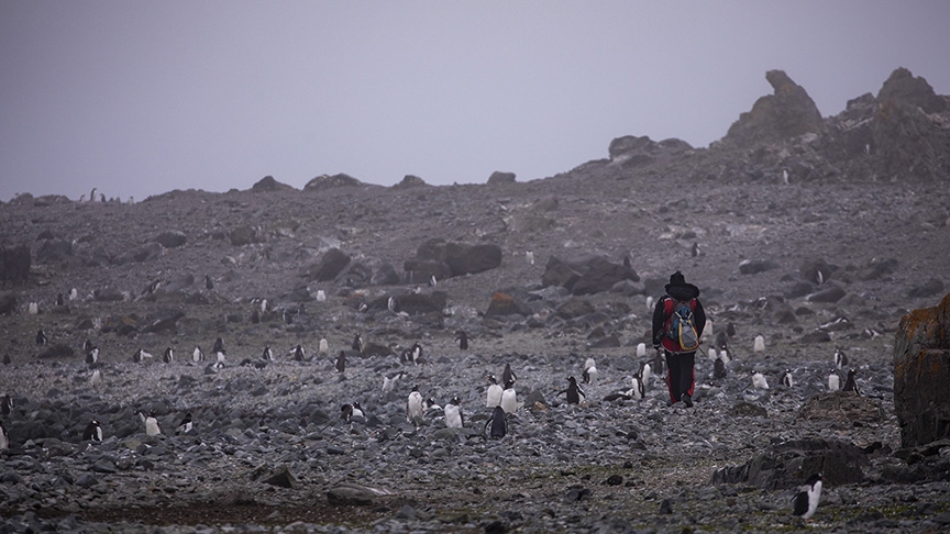 'Beyaz kıta'nın katı kuralları galerisi resim 4