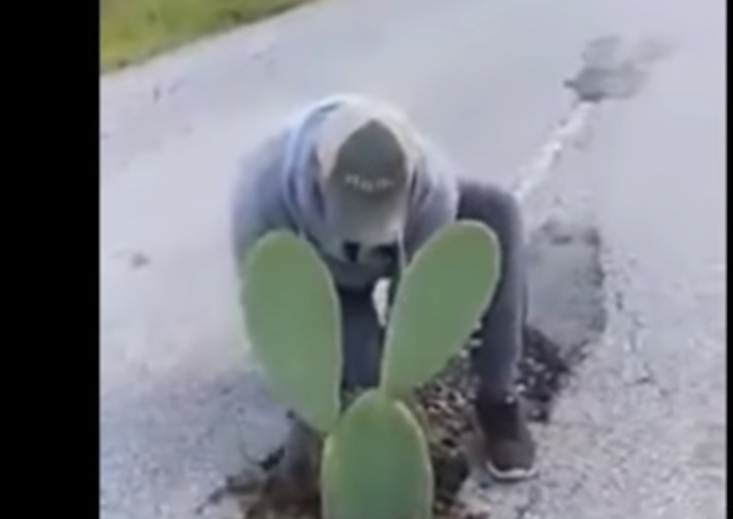 Çukurlara, çiçekli protesto! Anlayana... galerisi resim 12