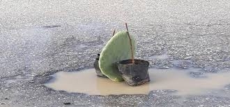 Çukurlara, çiçekli protesto! Anlayana... galerisi resim 4