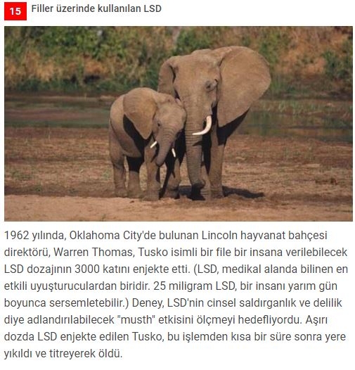 Dünyanın en acımasız deneyleri galerisi resim 15