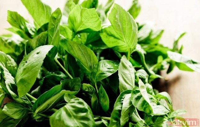 Bu besinler buzdolabında saklandığında  hastalık saçıyor galerisi resim 11