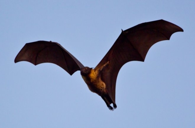 Futbol maçında savaş çıktı, iki bin kişi hayatını kaybetti! galerisi resim 13