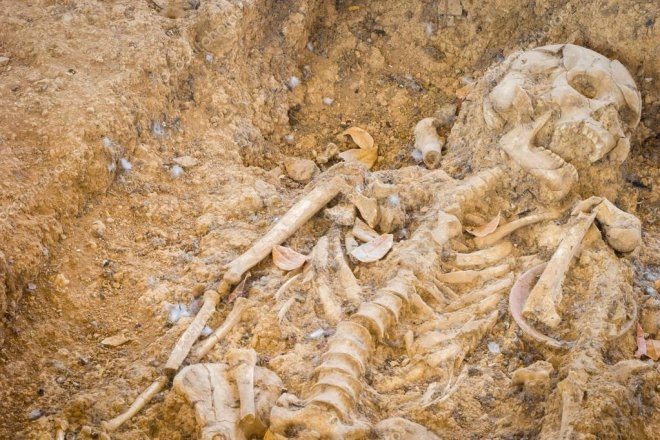 Futbol maçında savaş çıktı, iki bin kişi hayatını kaybetti! galerisi resim 14