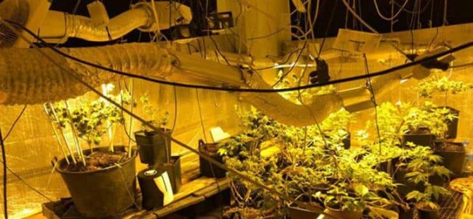 Evini 'uyuşturucu serası'na çevirmiş