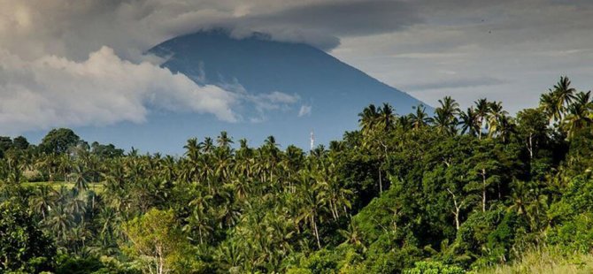 Dünya topraklarının neredeyse yarısına insan eli değmedi