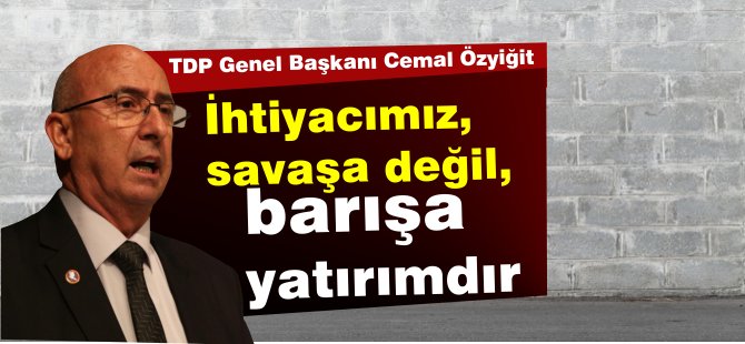 Özyiğit:İhtiyacımız, savaşa değil, barışa yatırımdır