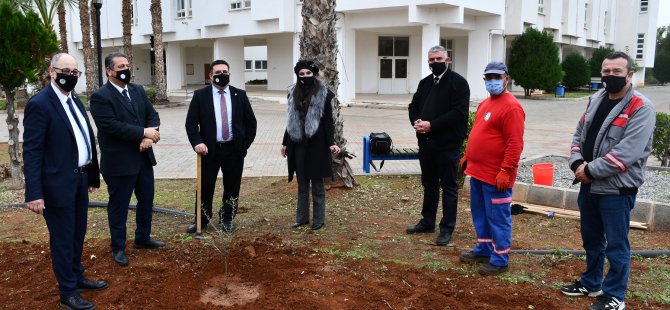 DAÜ’den Yeni Yılda Doğaya Üç Bin Fidan