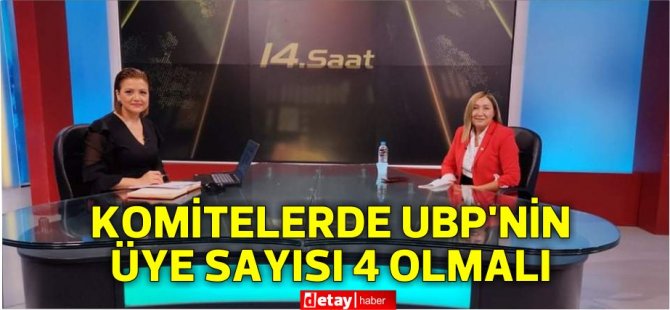 Öztürk:Meclis’teki komitelerde UBP’nin üye sayısı 4 olmalı