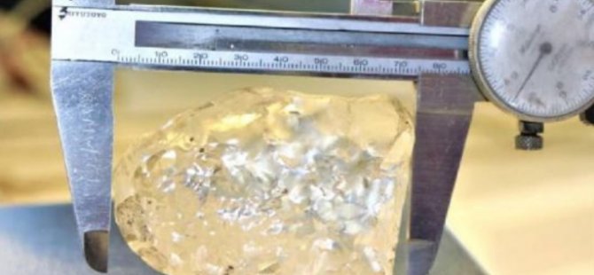 Dünyanın “Üçüncü En Büyük Elması” Bulundu