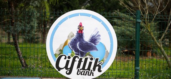 Saadet zincirinin ilk halkası teslim oldu: Çiftlik Bank soruşturmasında neler yaşandı? - Vimarsana News