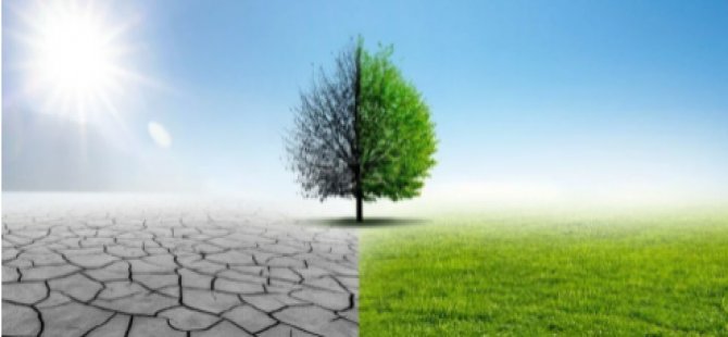 Kuraklık etkisini sürdürüyor... 2022 tarımda kriz yılı olacak, gıda fiyatları artmaya devam edecek