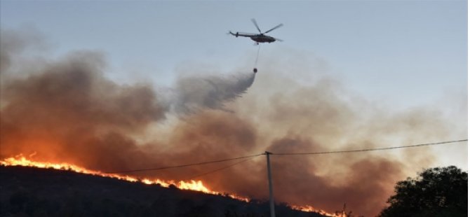 HAKSEN ve MEMUR-SEN'den Türkiye'deki Orman Yangınları İçin Bağış - Vimarsana News