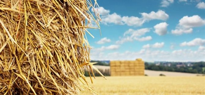 Kurak bir yıl olacak