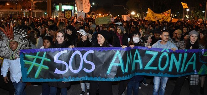 Amazon yok olursa hepimiz kaybederiz - Vimarsana News