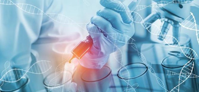 SMA Testi Nasıl Yapılır?