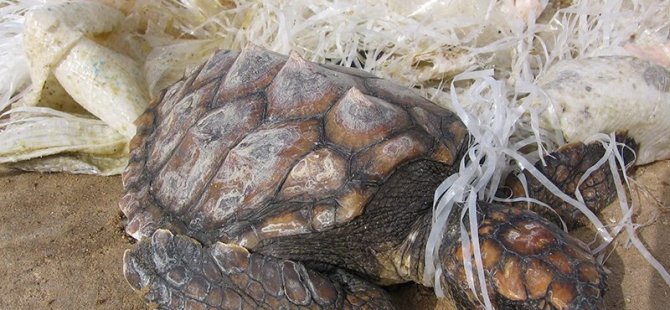 KTTB: Sıfır Plastik Atık Hedefine Ulaşmak Zorundayız