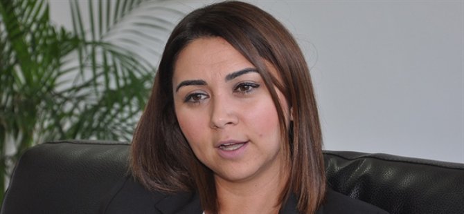 Ayşegül Baybars: İhalesiz Fiber Optik kablo anayasa mahkemesinden döner