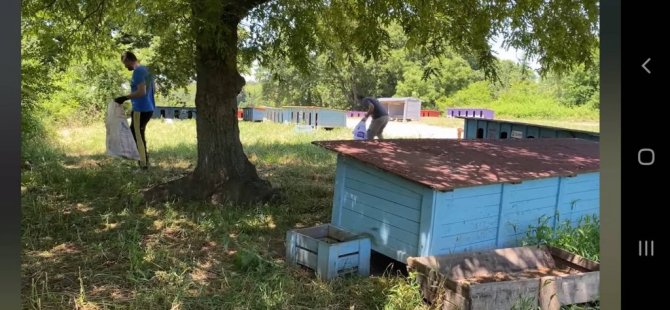 Güzelyurt Hayvanları Koruma Derneği’nden belediyelere çağrı