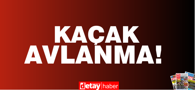 Ava kapalı günde av tüfekleriyle yakalandılar