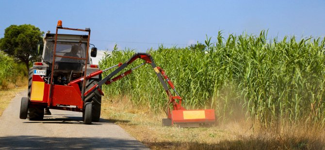 Yabani Ot Temizleme Çalışmaları Devam Ediyor