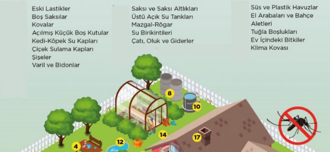 Girne’de Sivrisineklerle Mücadele Yıl Boyunca Devam Ediyor