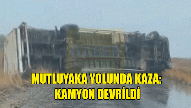 Mutluyaka'da Kaza: Kamyon Devrildi
