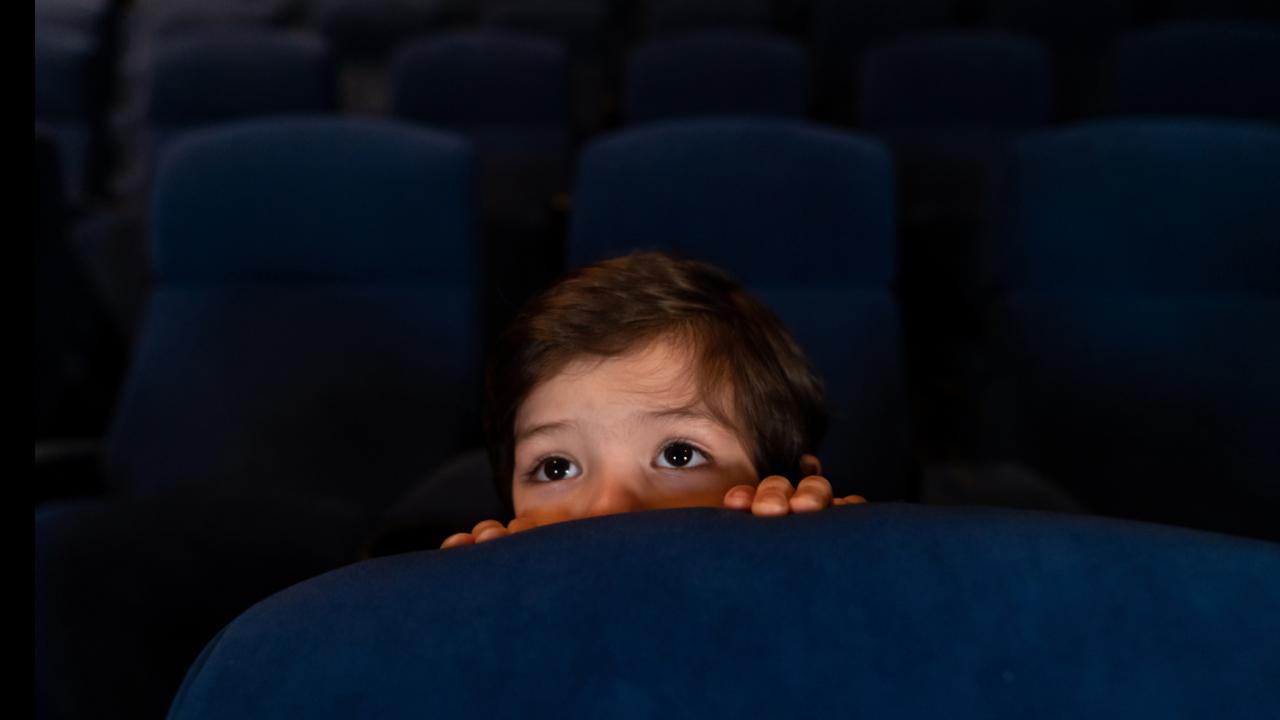 Sınırı akıllı işaretler mi aileler mi çizmeli?