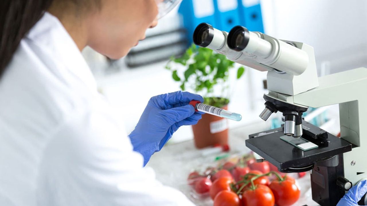 Gıda Mühendisleri Odası: Güvenli gıda, sağlıklı hayvanla başlar