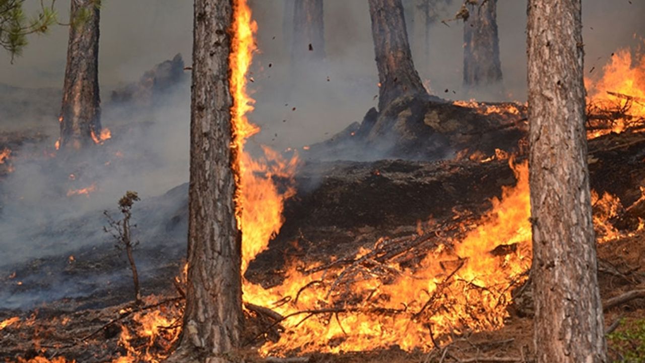 Rum basınına göre, "1974 sonrası Kıbrıs'ın en büyük yangını"...