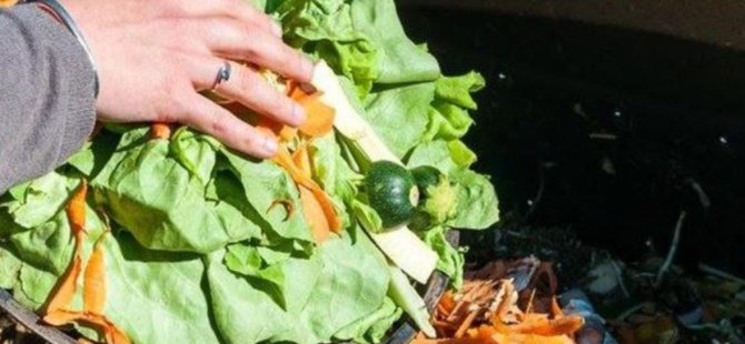 Oymen: Türkiye’deki gıda skandalları uyarı niteliğinde; geçmişte yaşananlar kaza değil uzman eksikliği