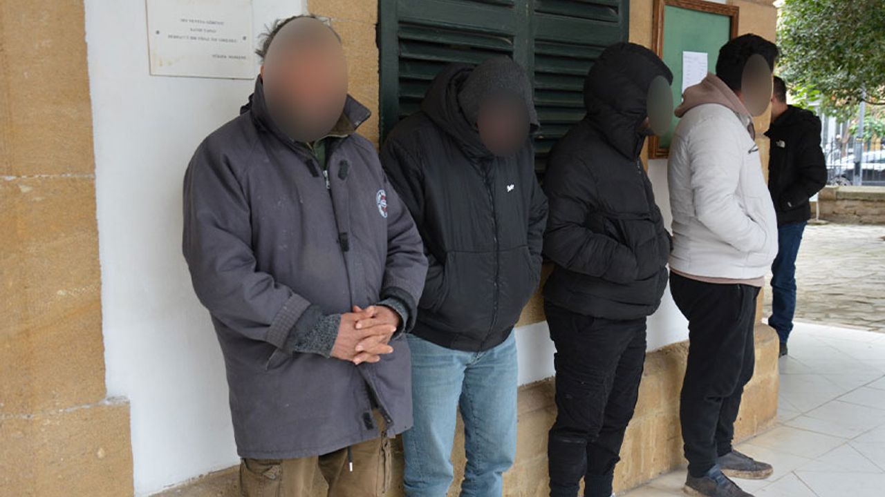 45 hayvanın kulak numaraları 8 farklı köydeki kişilere ait!