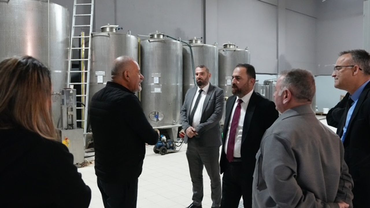 Çavuş: Zeytin ve zeytin yağı sektörü daha ileriye taşınabilir