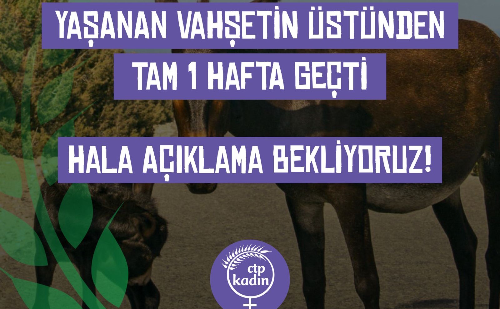 Yaşanan Vahşetin üstünden tam 1 hafta geçti. Hala açıklama bekliyoruz!