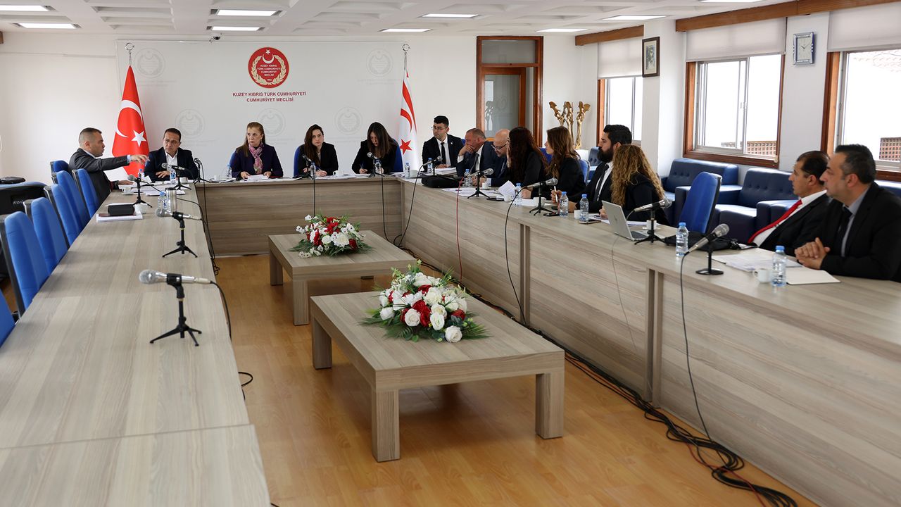 Ekonomi, Maliye, Bütçe ve Plan Komitesi, 3 yasa tasarısını görüştü