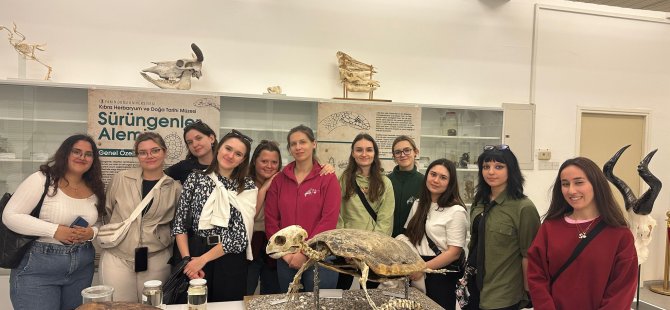 Polonya’dan geldiler, müzelere hayran kaldılar!