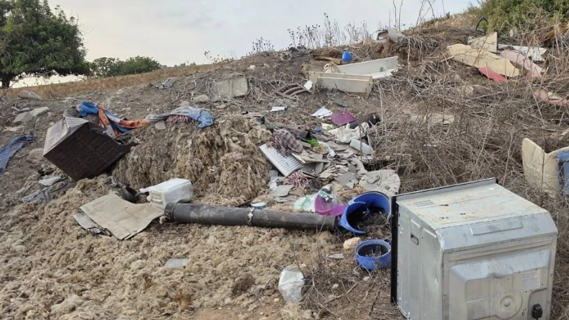 Fırat Borak: Ormanlar da sahiller kadar kirletiliyor, Dipkarpaz'da kimse bu talana yetişemez!