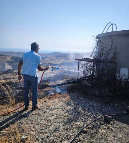 Pittokopitis: Yangından dolayı Baf büyük bir ekolojik felaket yaşıyor