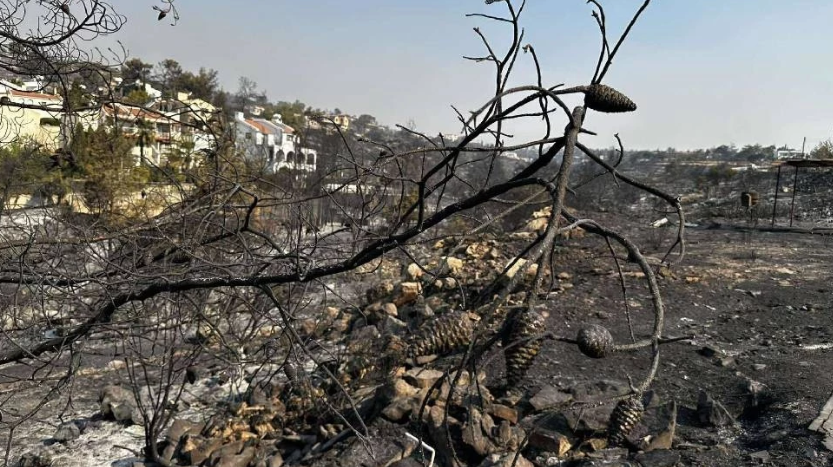 Limasol yangınının maddi hasarı 70-100 milyon Euro arasında: Adanın yüzde 1,3'ü yandı