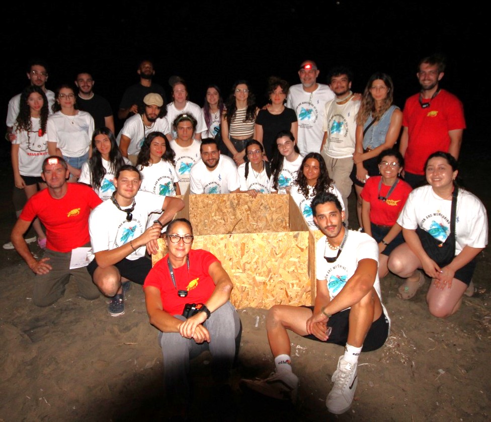 Caretta Caretta’lar Akdeniz’i Keşfe Çıktı
