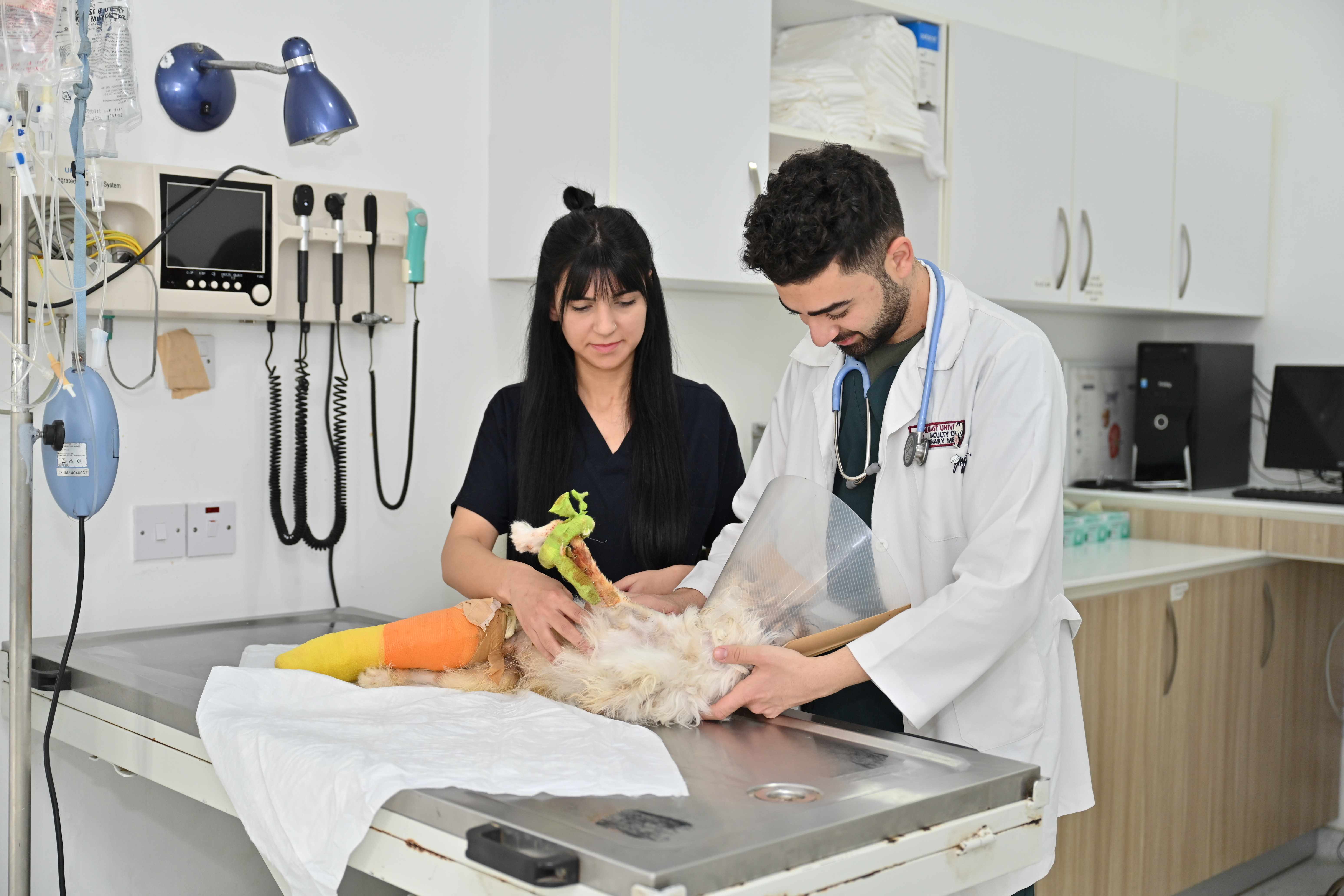 Geleceğin Veteriner Hekimleri Sahada Yetişiyor